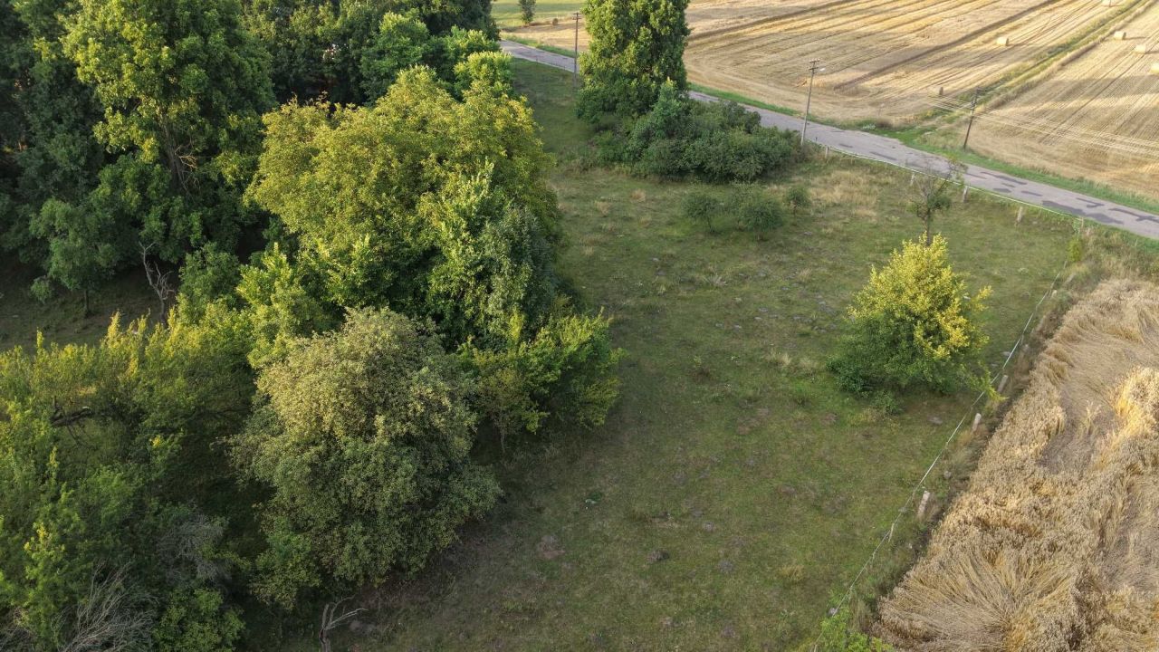 Działka rolno-budowlana Gościnowo. Zdjęcie 6