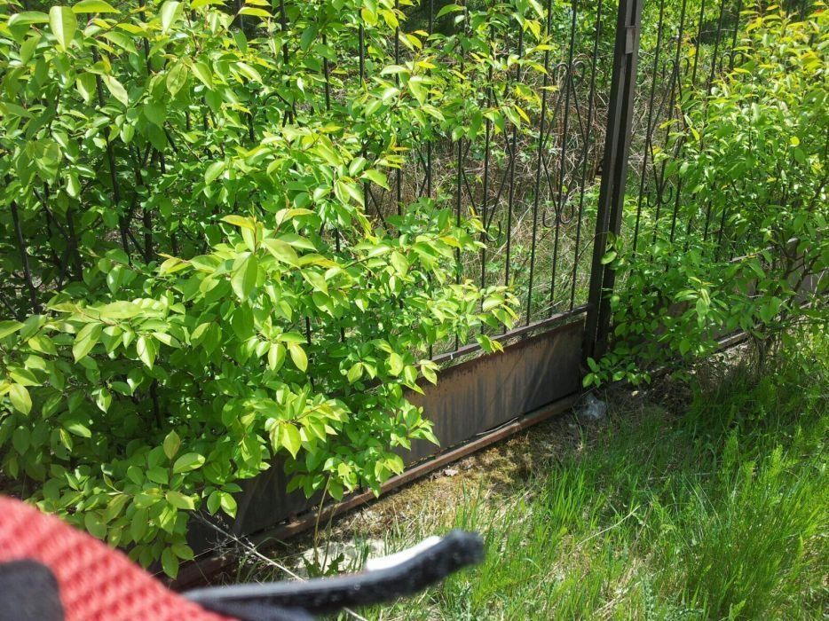 Działka rekreacyjna Rokitnica. Zdjęcie 3