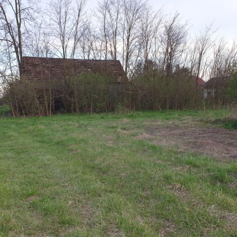 Działka rolno-budowlana Błotnowola. Zdjęcie 1