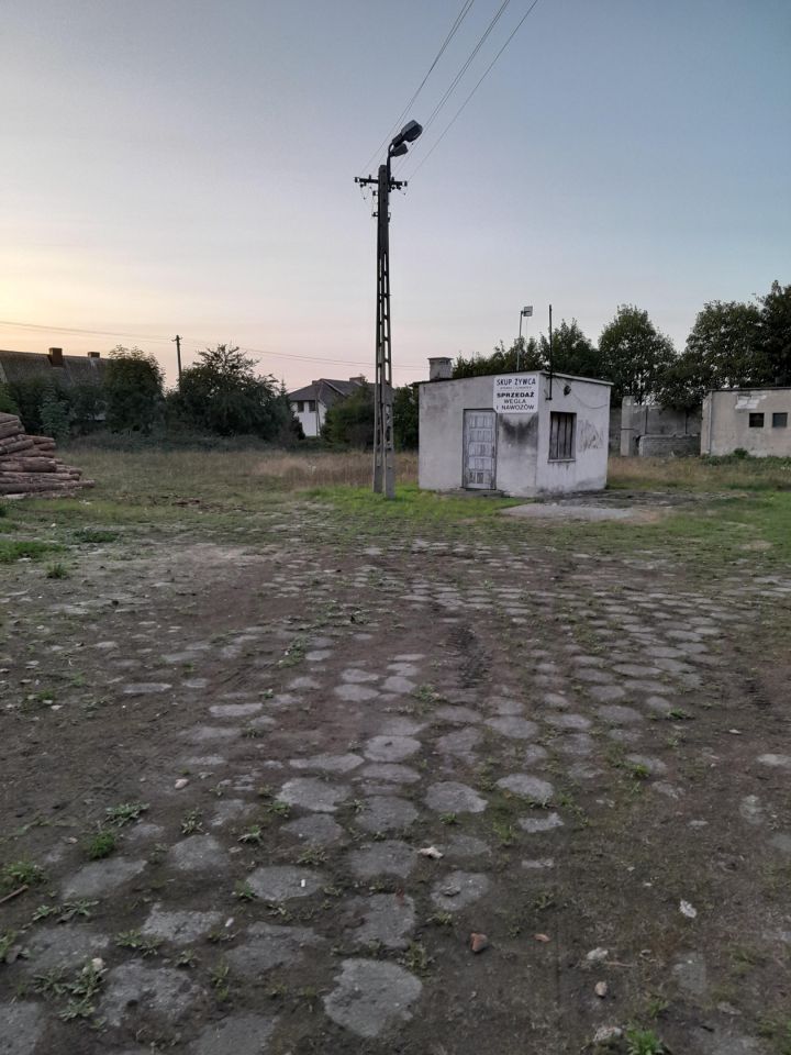 Działka inwestycyjna Zbiczno, ul. Młyńska. Zdjęcie 2