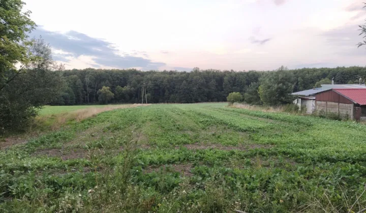 Działka budowlana Gałkówek-Kolonia