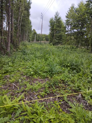 Działka rekreacyjna Rybczyzna. Zdjęcie 1