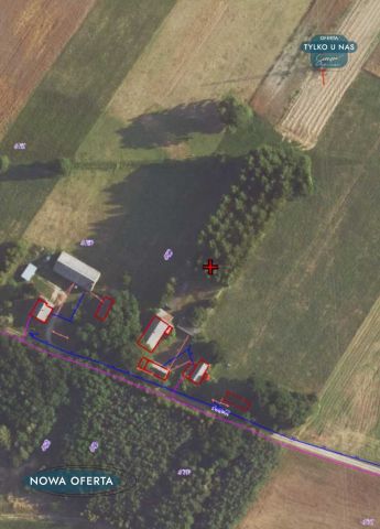 Działka siedliskowa Stefanów Ruszkowski. Zdjęcie 23