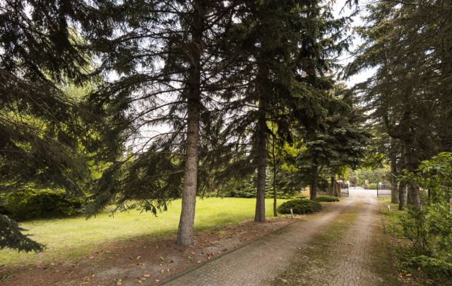 dom wolnostojący, 12 pokoi Tłuste. Zdjęcie 10