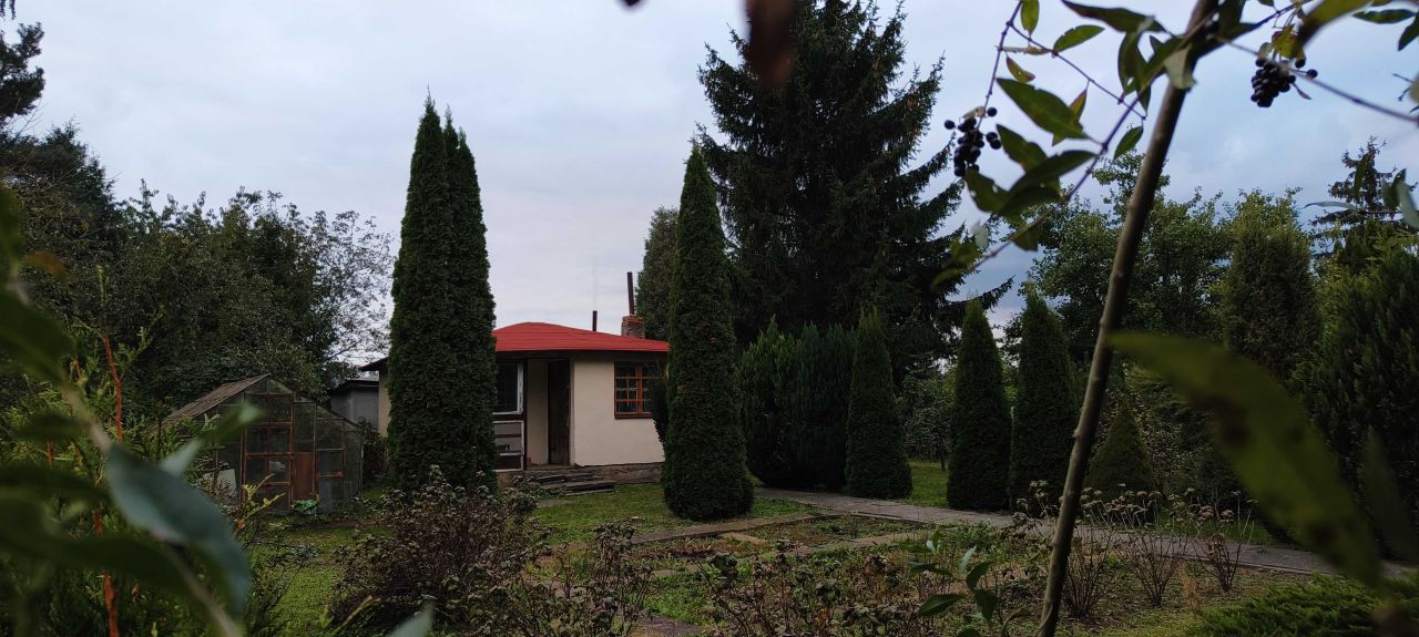 Działka rod Chełmno. Zdjęcie 2