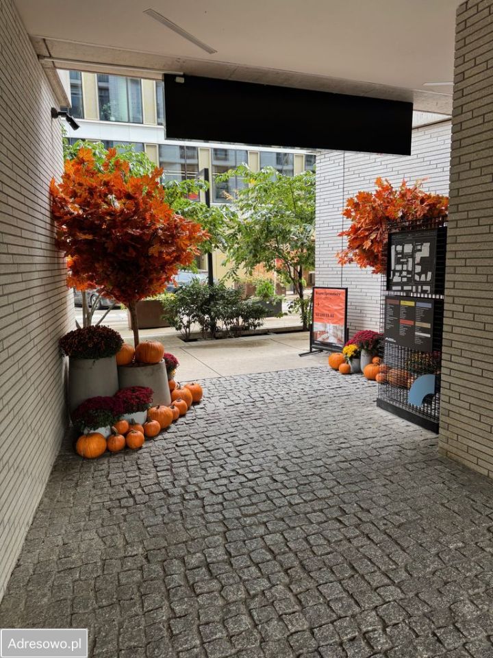 Mieszkanie 2-pokojowe Warszawa Śródmieście, ul. Krochmalna. Zdjęcie 10