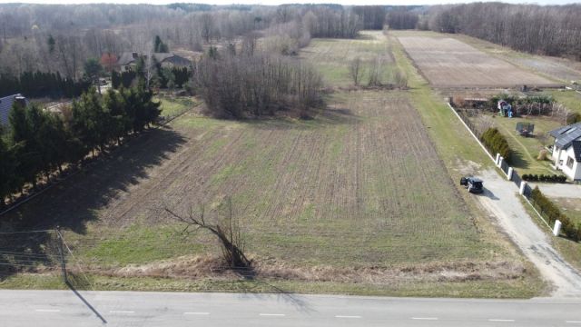 Działka budowlana Zadębie. Zdjęcie 9