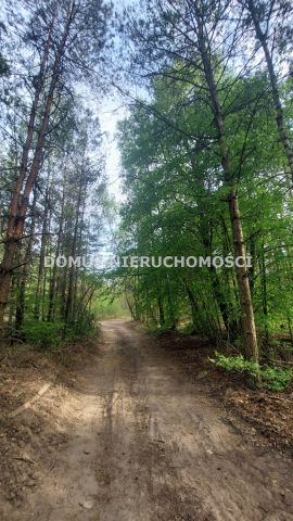 Działka inwestycyjna Grzmiąca. Zdjęcie 4