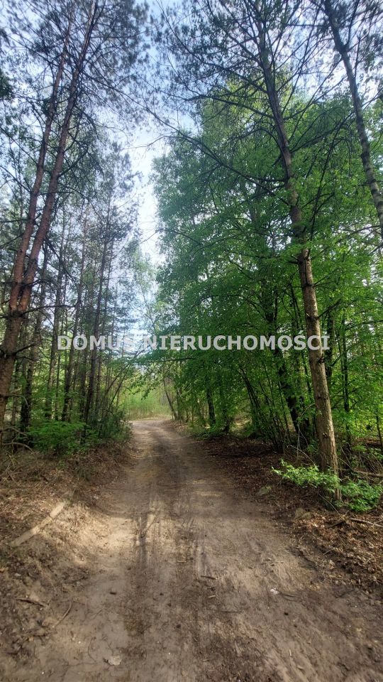 Działka inwestycyjna Grzmiąca. Zdjęcie 4