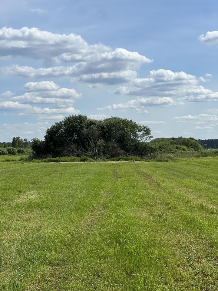 Działka rolno-budowlana Przygodzice, ul. Krańcowa. Zdjęcie 3
