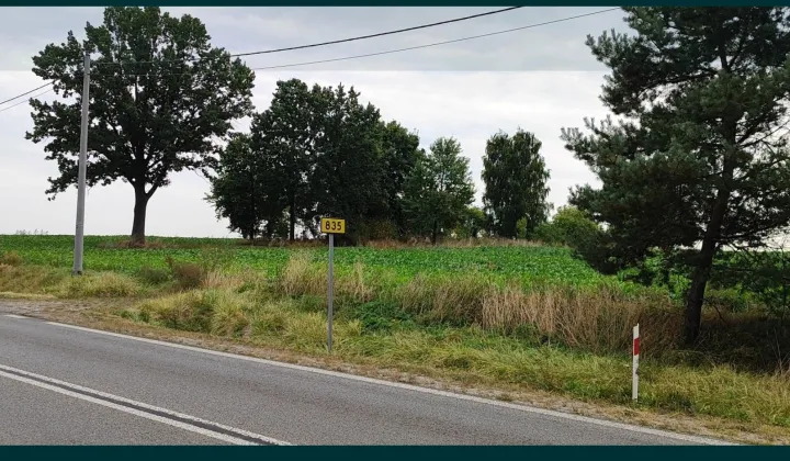 Działka rolno-budowlana Zielona