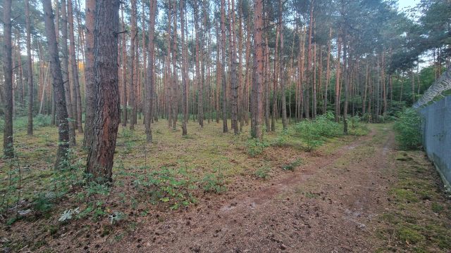 Działka budowlana Kajetany, ul. Mokra. Zdjęcie 1