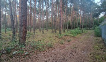 Działka budowlana Kajetany, ul. Mokra