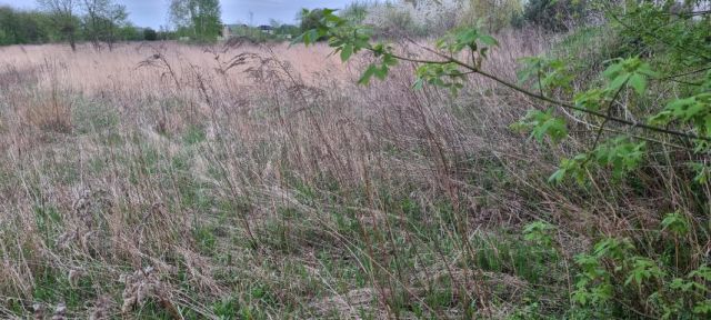 Działka budowlana Kręczki. Zdjęcie 7