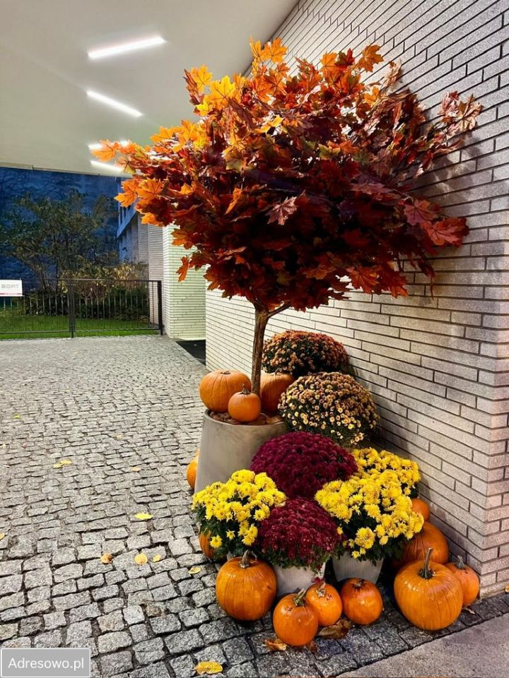 Mieszkanie 2-pokojowe Warszawa Śródmieście, ul. Krochmalna. Zdjęcie 13