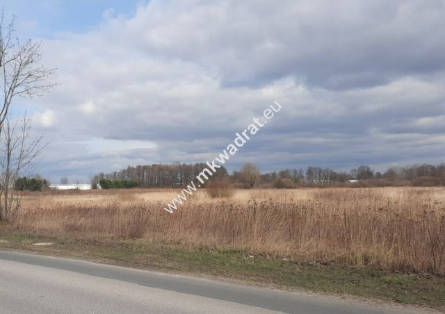 Działka inwestycyjna Oddział. Zdjęcie 1