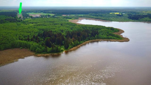 Działka siedliskowa Orzechówka. Zdjęcie 4