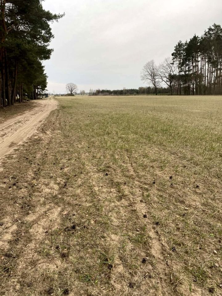 Działka budowlana Skrzynka. Zdjęcie 6