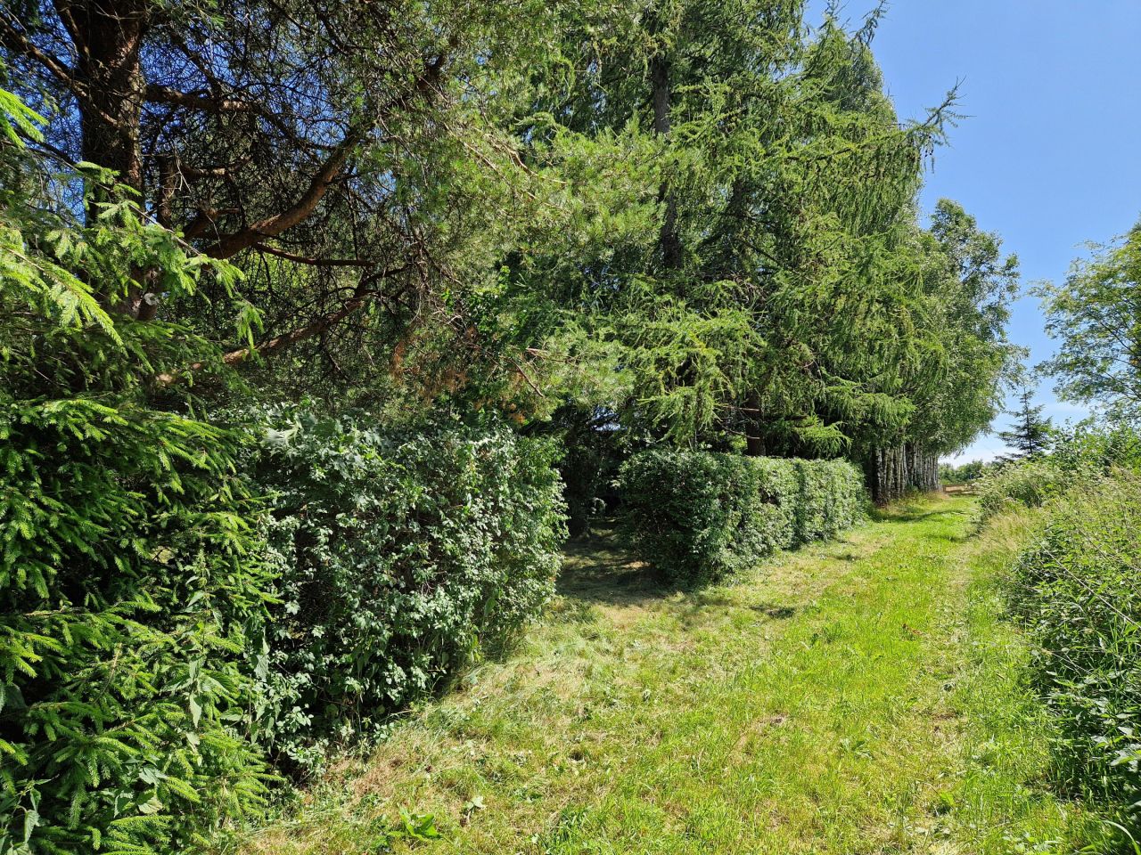 Działka budowlana Głębock. Zdjęcie 7