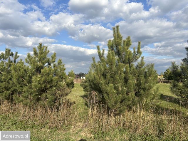 Działka budowlana Teresin. Zdjęcie 1