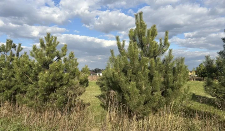 Działka budowlana Teresin