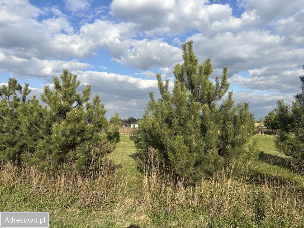 Działka budowlana Teresin. Zdjęcie 1