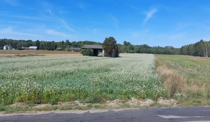 Działka rolno-budowlana Sitno