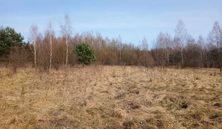 Działka siedliskowa Puszcza Mariańska