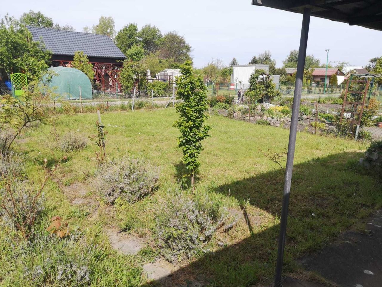 Działka rod Wrocław Psie Pole. Zdjęcie 3