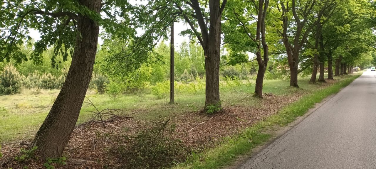 Działka inwestycyjna Kozły. Zdjęcie 6