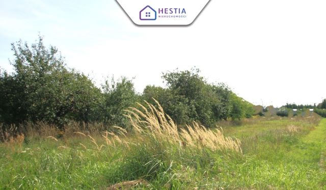 Działka budowlana Ińsko. Zdjęcie 4