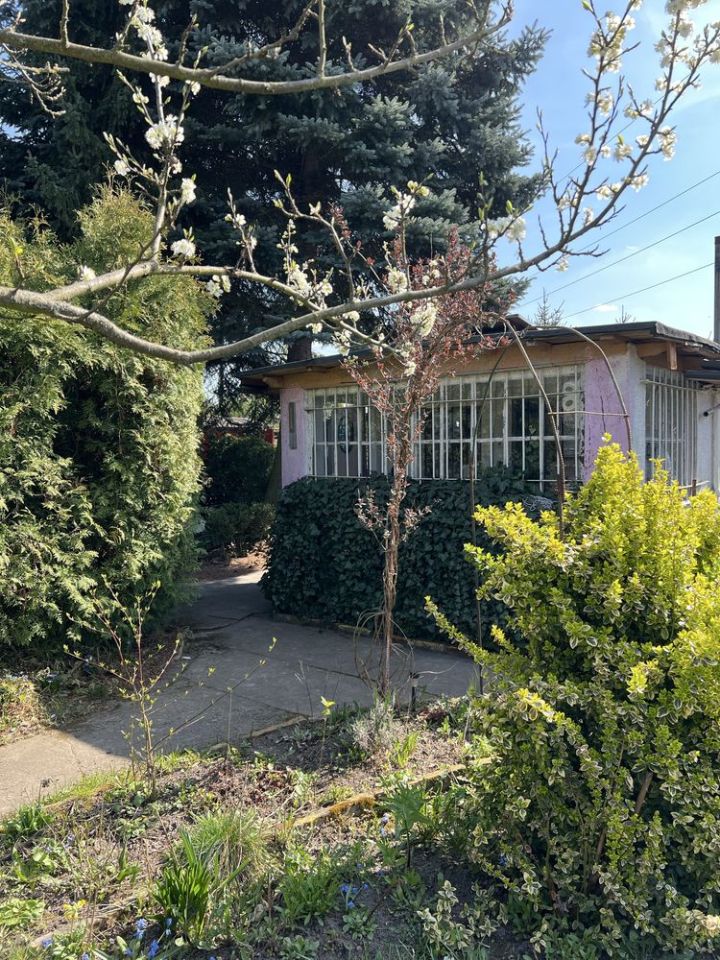 Działka rod Poznań Winogrady. Zdjęcie 1