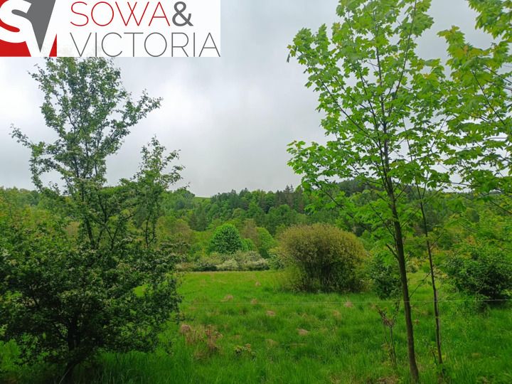 Działka budowlana Jedlina-Zdrój Kamieńsk. Zdjęcie 5