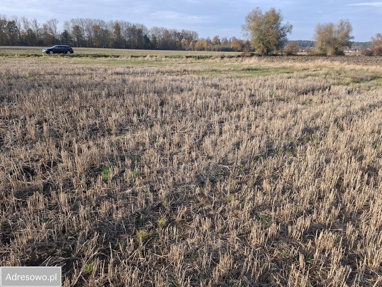 Działka rolno-budowlana Gdańsk Świbno. Zdjęcie 5
