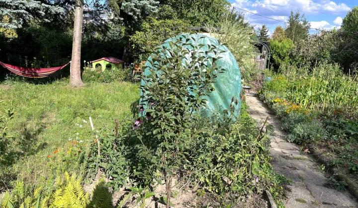 Działka rod Łódź Śródmieście