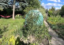 Działka rod Łódź Śródmieście