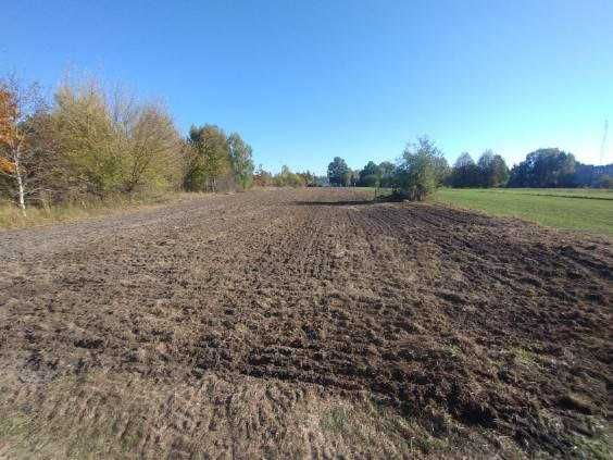 Działka budowlana Radzyń Podlaski. Zdjęcie 1