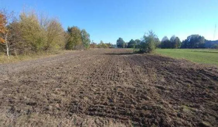 Działka budowlana Radzyń Podlaski