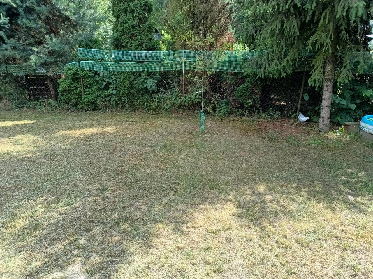 Działka rod Wrocław Wojnów, Działkowa. Zdjęcie 17