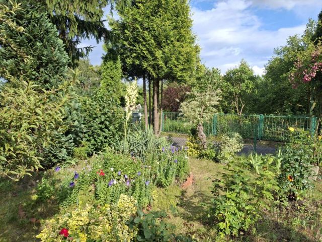 Działka rod Kalisz, ul. Juliusza Kossaka. Zdjęcie 1