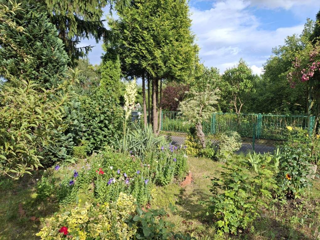 Działka rod Kalisz, ul. Juliusza Kossaka