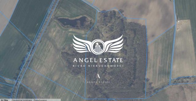 Działka Włodarka Chełm Gryficki. Zdjęcie 6