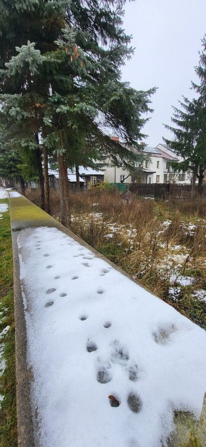 Działka budowlana Szczuczyn, ul. Kościelna. Zdjęcie 4