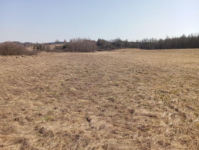 Działka rekreacyjna Pagórek. Zdjęcie 1