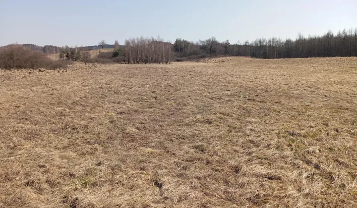 Działka rekreacyjna Pagórek