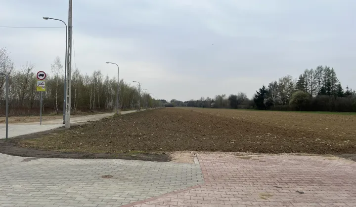 Działka rolno-budowlana Dziekanów Nowy, ul. Poziomkowa