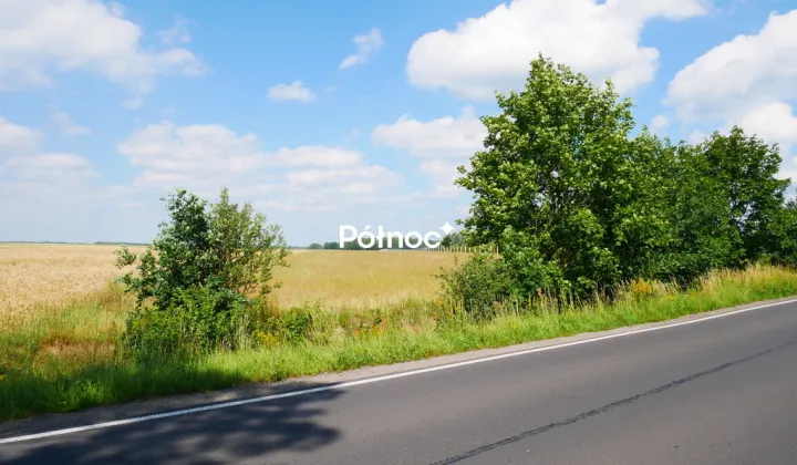 Działka rolna Zebrzydowa