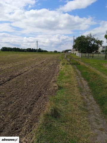 Działka budowlana Dobieżyn, ul. Bukowska. Zdjęcie 1