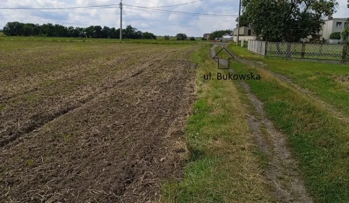 Działka budowlana Dobieżyn, ul. Bukowska