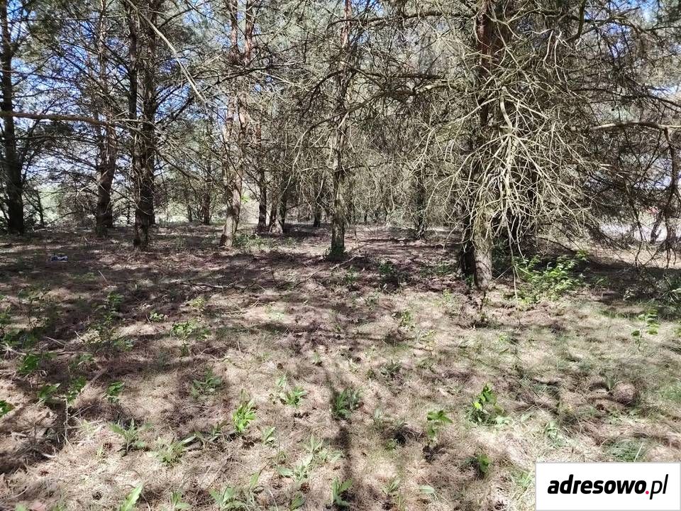 Działka rolno-budowlana Rychlik. Zdjęcie 10